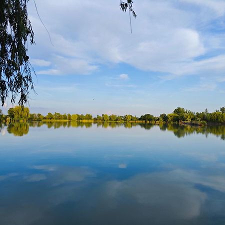 杜瑙保陶伊Tavi Panzio住宿加早餐旅馆 外观 照片